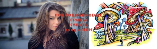 соль ск Грязовец