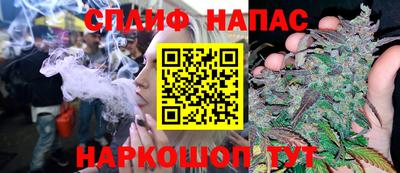 амф Заволжье