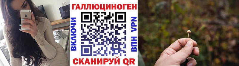 Галлюциногенные грибы MAGIC MUSHROOMS  купить закладку  Кировск 