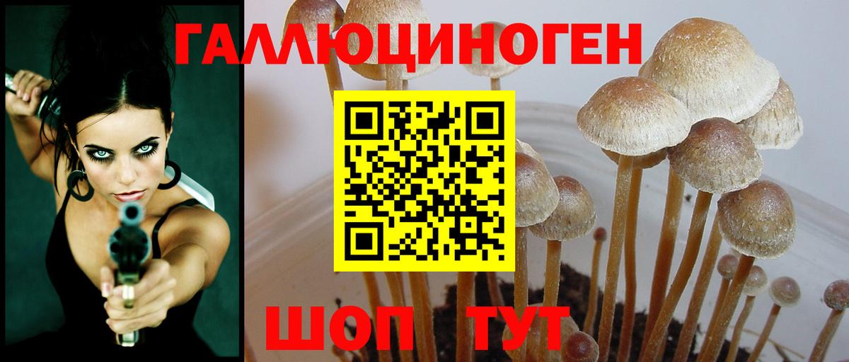 Псилоцибиновые грибы Psilocybe  Псилоцибиновые грибы Psilocybe  Кировск  Вход с VPN 