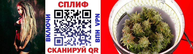 Бошки марихуана THC 21%  kraken зеркало  Кировск 